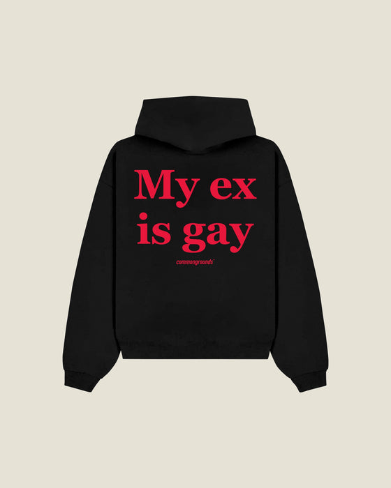 My Ex Is Gay Hoodie