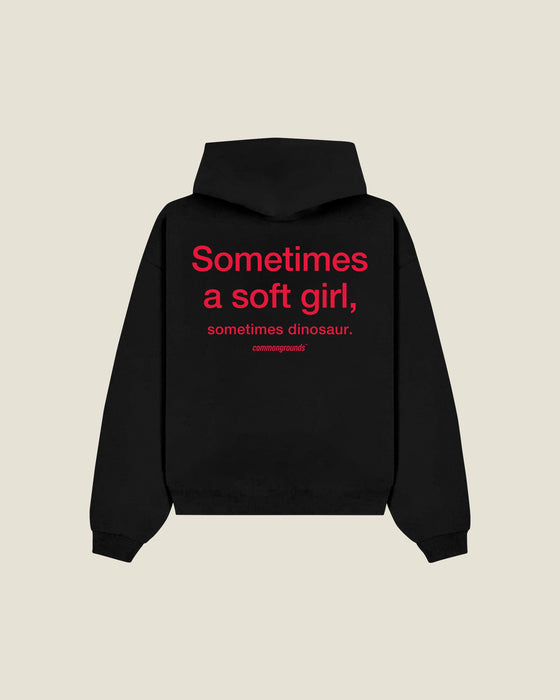 Sometimes A Soft Girl, Sometimes Dinosaur Hoodie