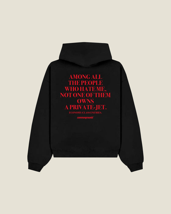 Among All The People Who Hate Me, Not One Of Them Owns A Private-jet. Economy-class Enemies Hoodie
