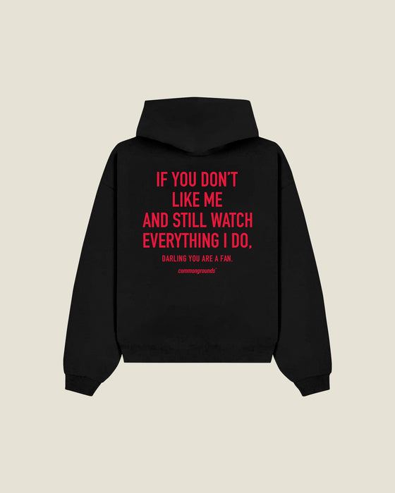 If You Don't Like Me And Still Watch Everything I Do, Darling You Are A Fan Hoodie