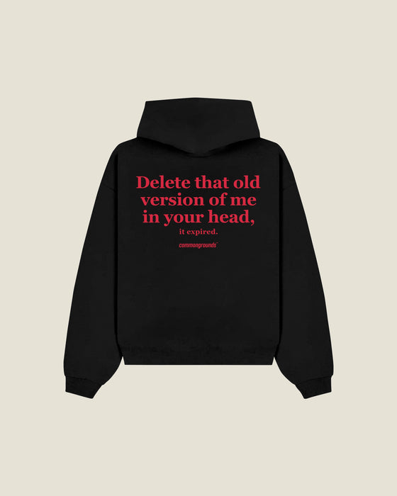 Delete That Old Version Of Me In Your Head, It Expired Hoodie