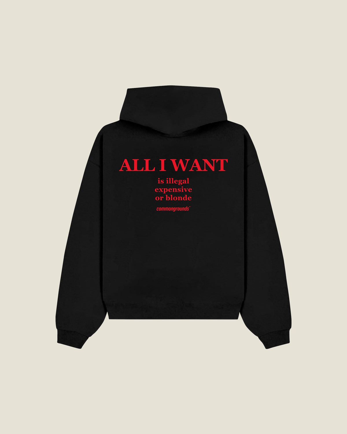 All I Want Is Illegal Expensive Or Blonde Hoodie in black, back print