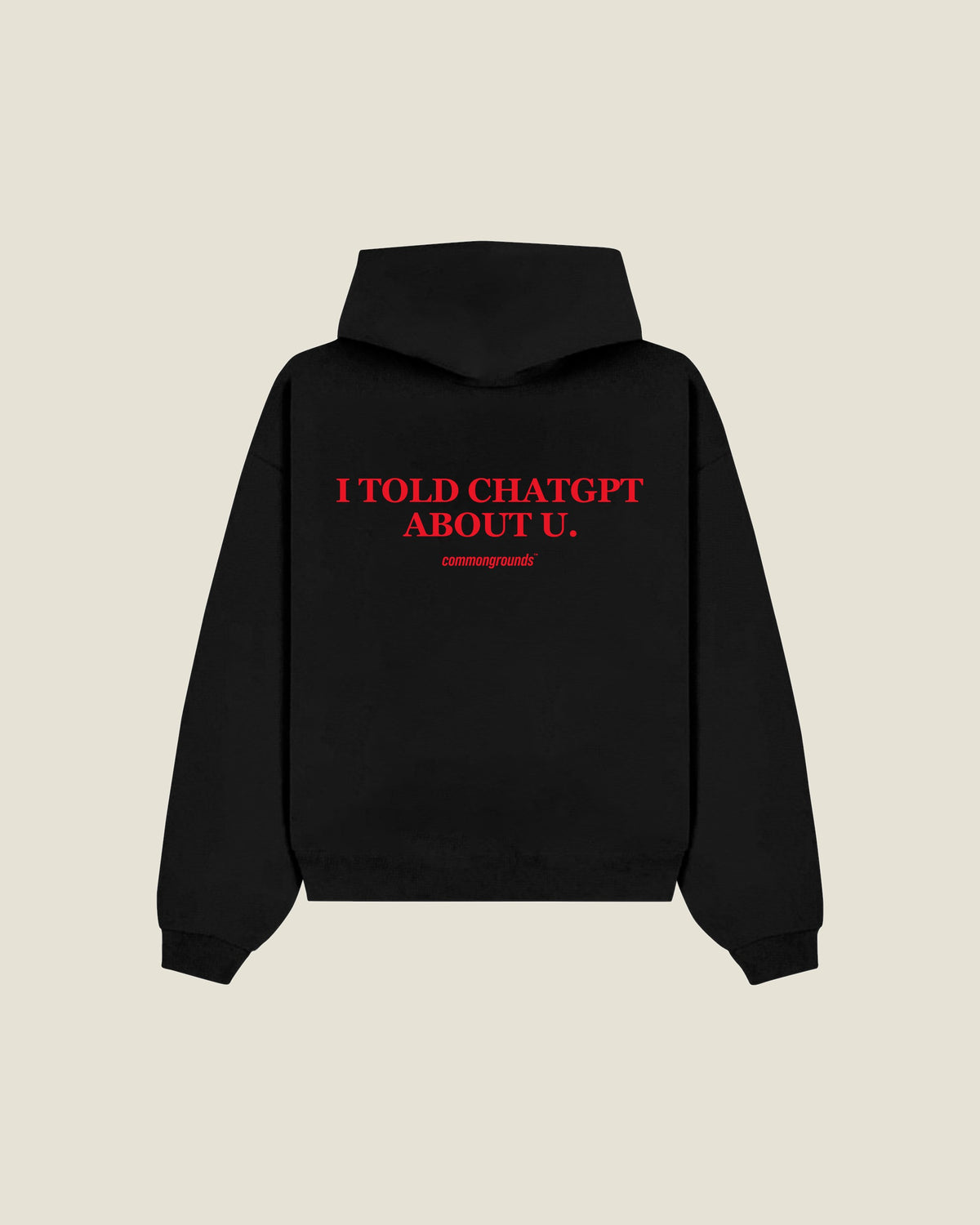 I Told Chatgpt About U Hoodie in black, back print