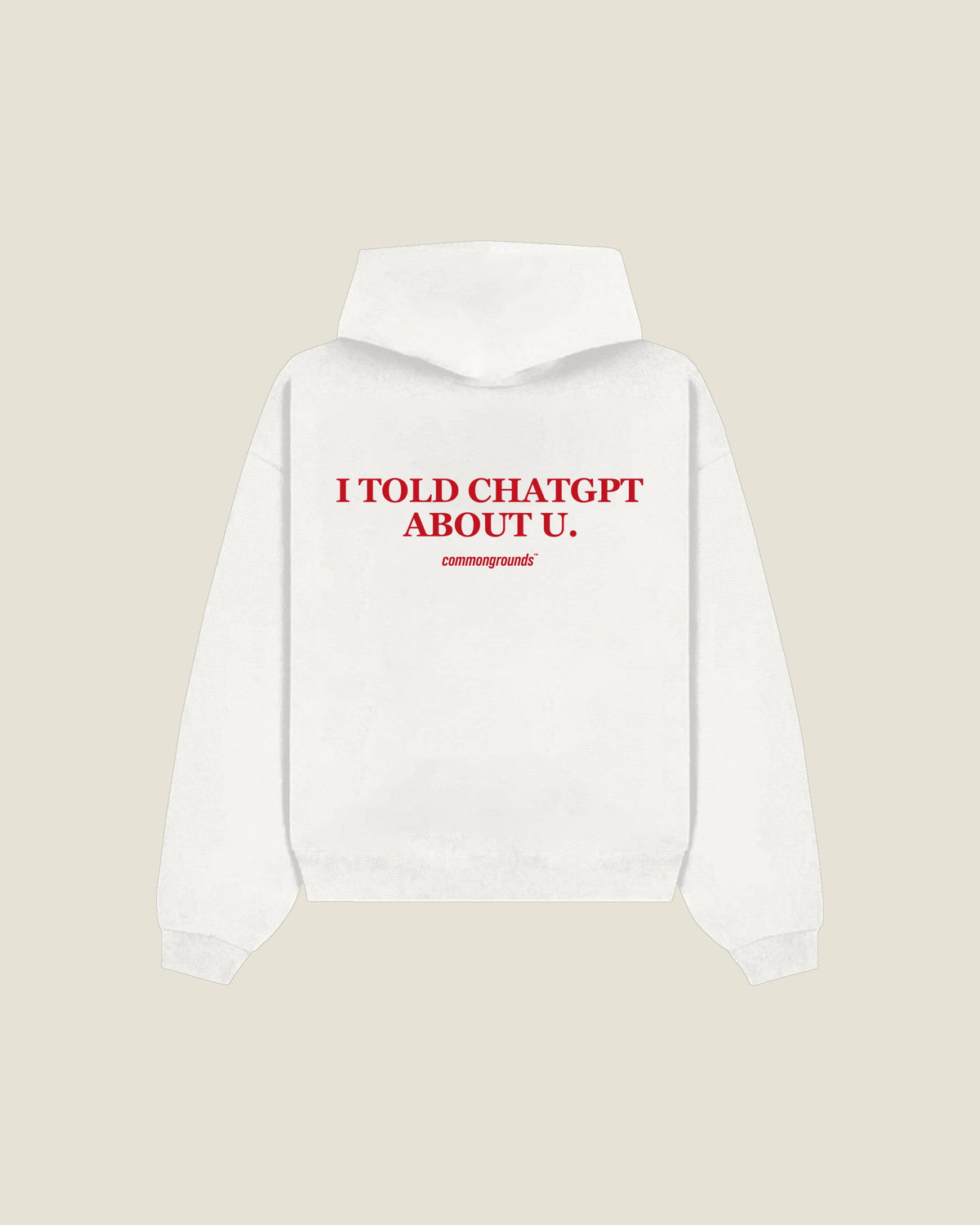 I Told Chatgpt About U Hoodie in white, back print