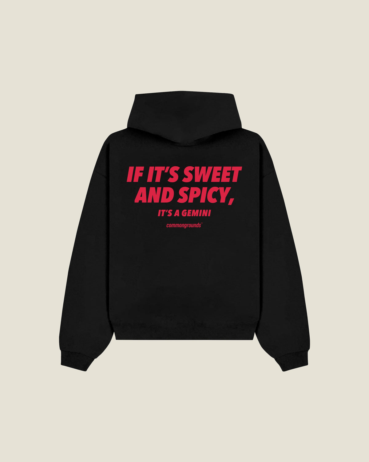 If It's Sweet And Spicy, It's A Gemini Hoodie in black, back print