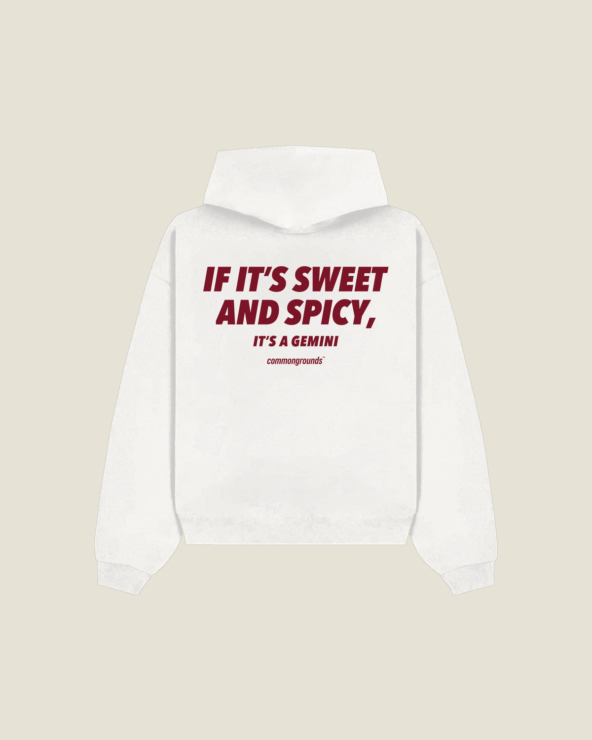 If It's Sweet And Spicy, It's A Gemini Hoodie in white, back print