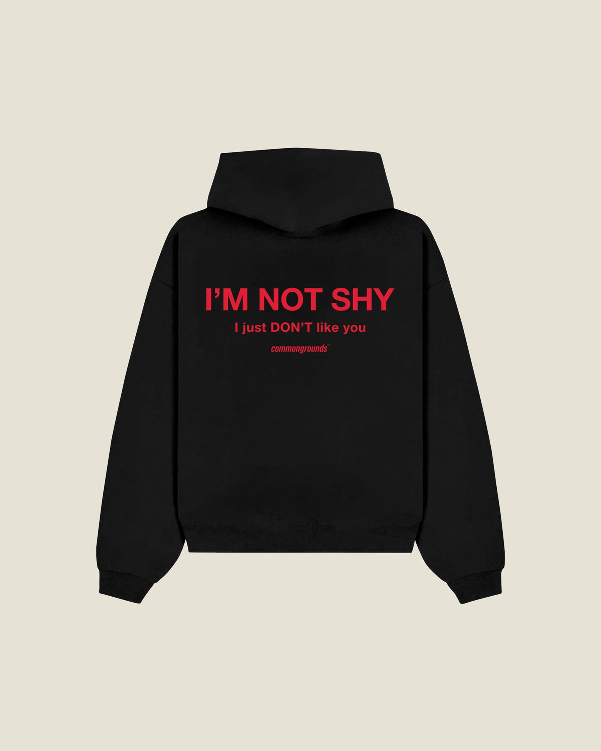 I'm Not Shy I Just Don't Like You Hoodie in black, back print