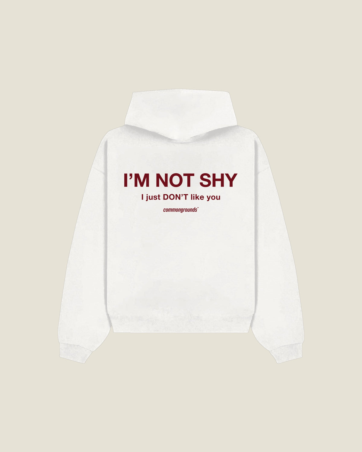 I'm Not Shy I Just Don't Like You Hoodie in white, back print