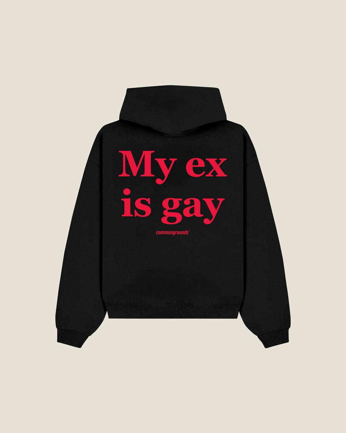 My Ex Is Gay Hoodie in black, back print