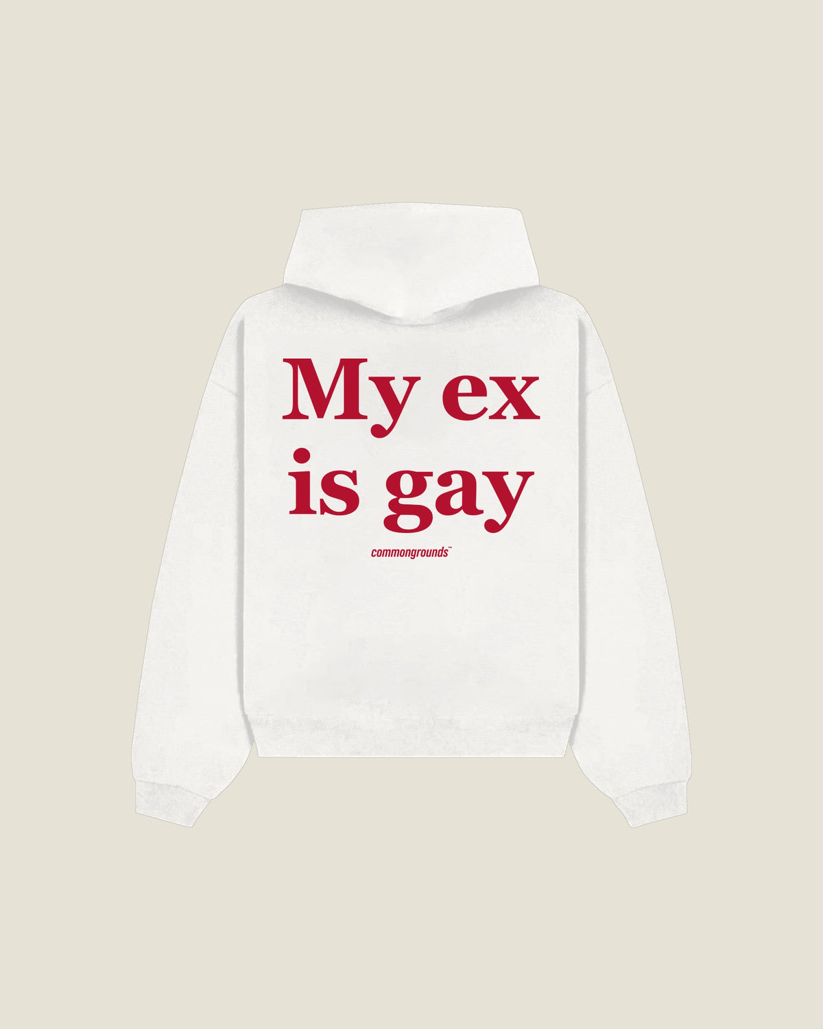 My Ex Is Gay Hoodie in white, back print