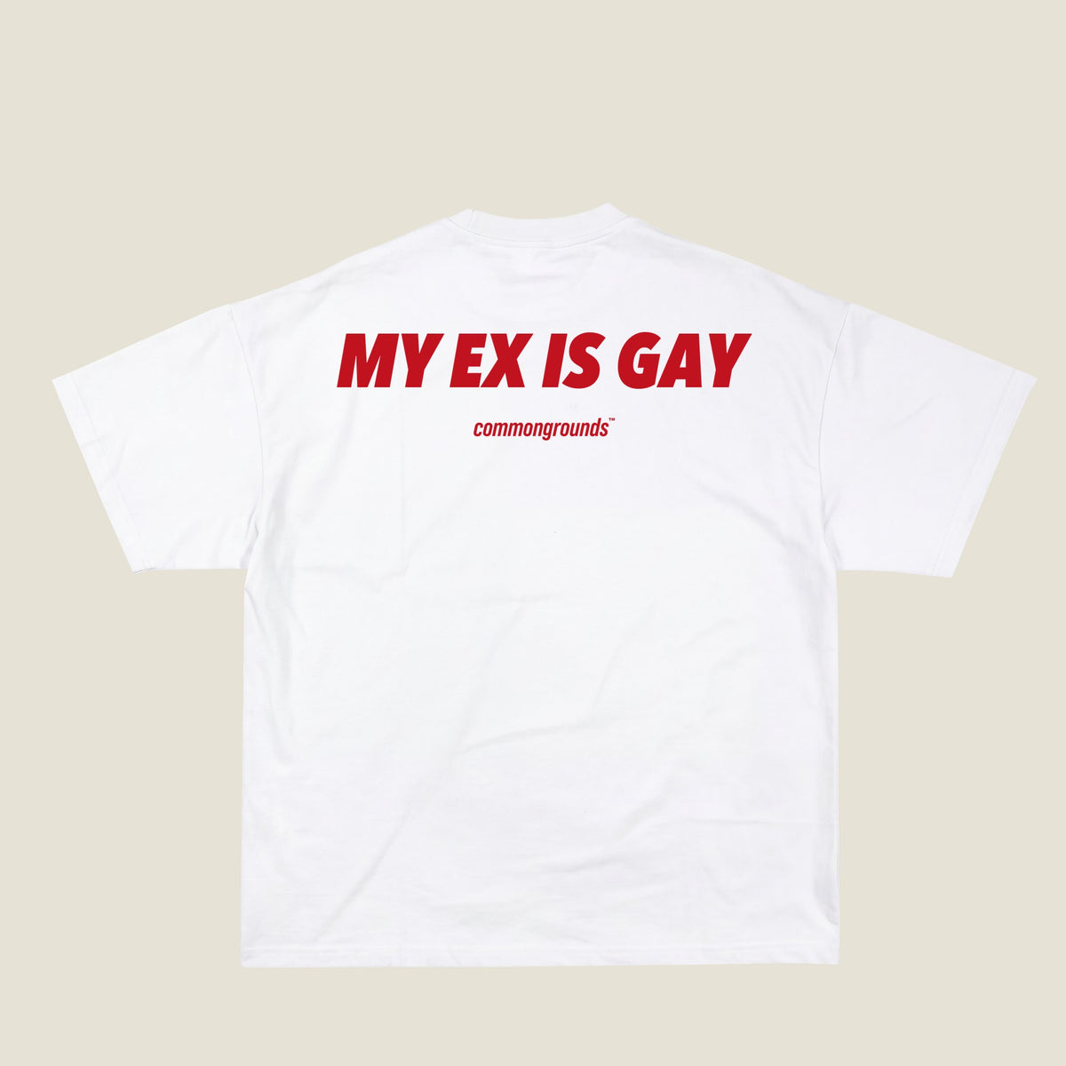MY EX IS GAY Tee in white, back print