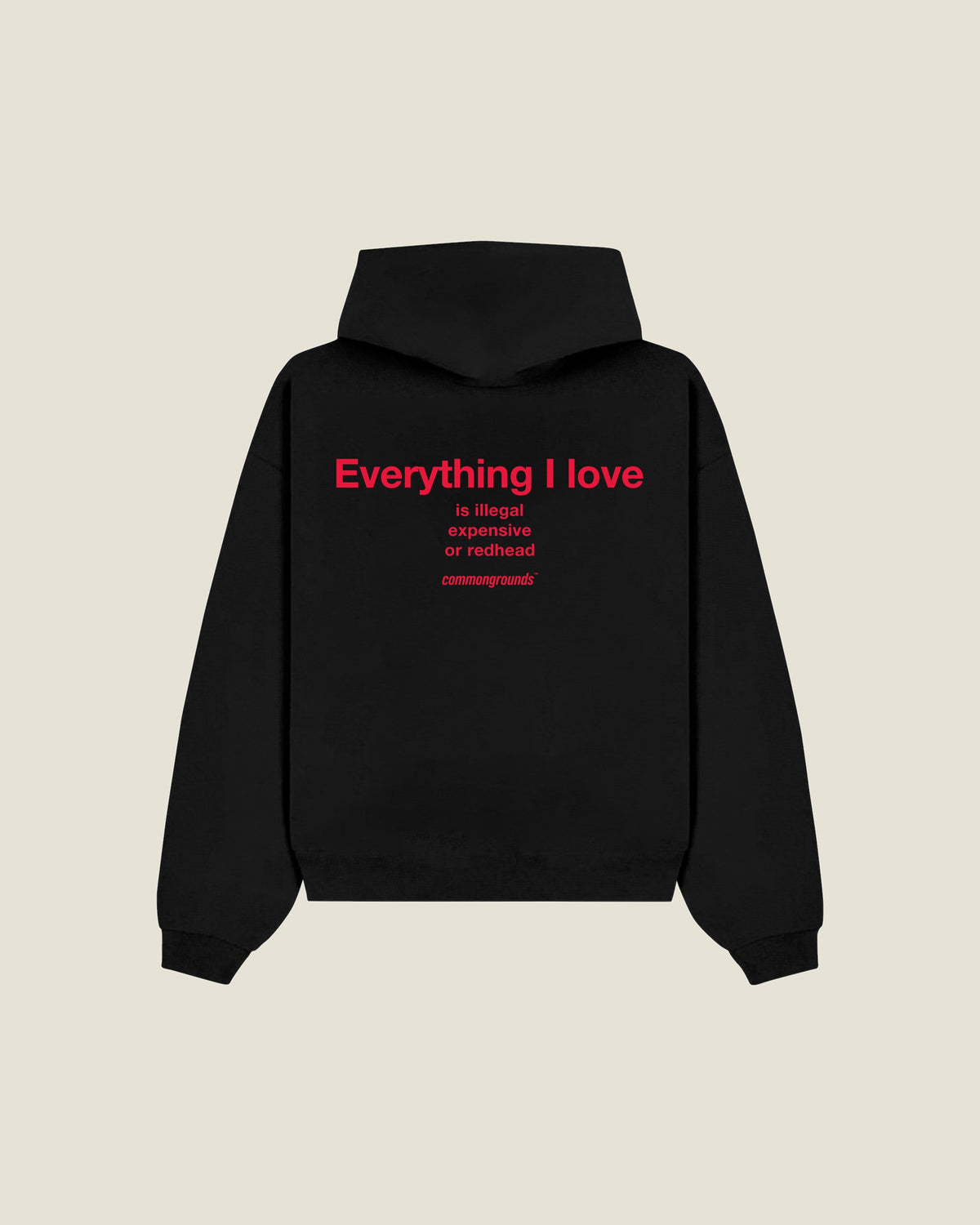 Everything I Love Is Illegal Expensive Or Redhead Hoodie in black, back print