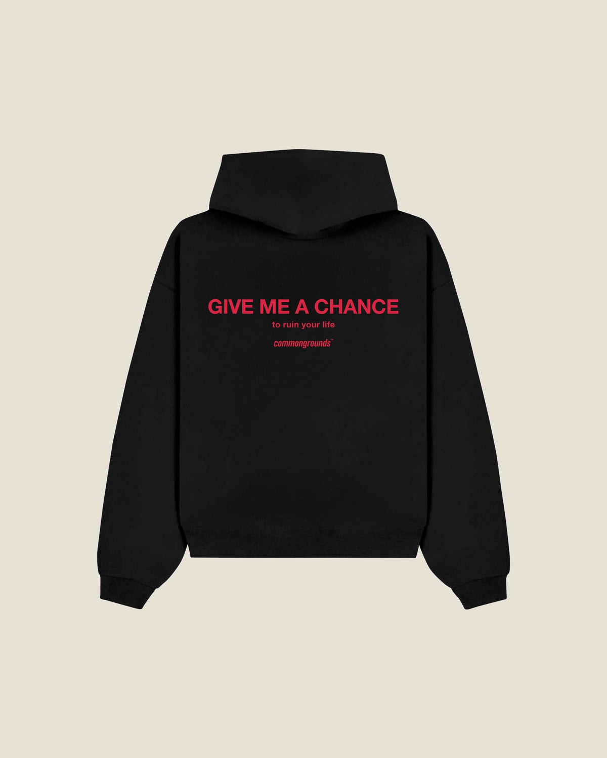 Give Me A Chance To Ruin Your Life Hoodie in black, back print