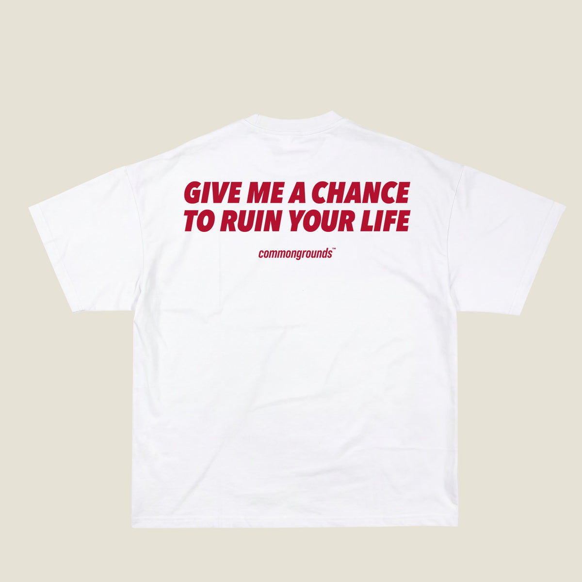 GIVE ME A CHANCE TO RUIN YOUR LIFE Tee in white, back print