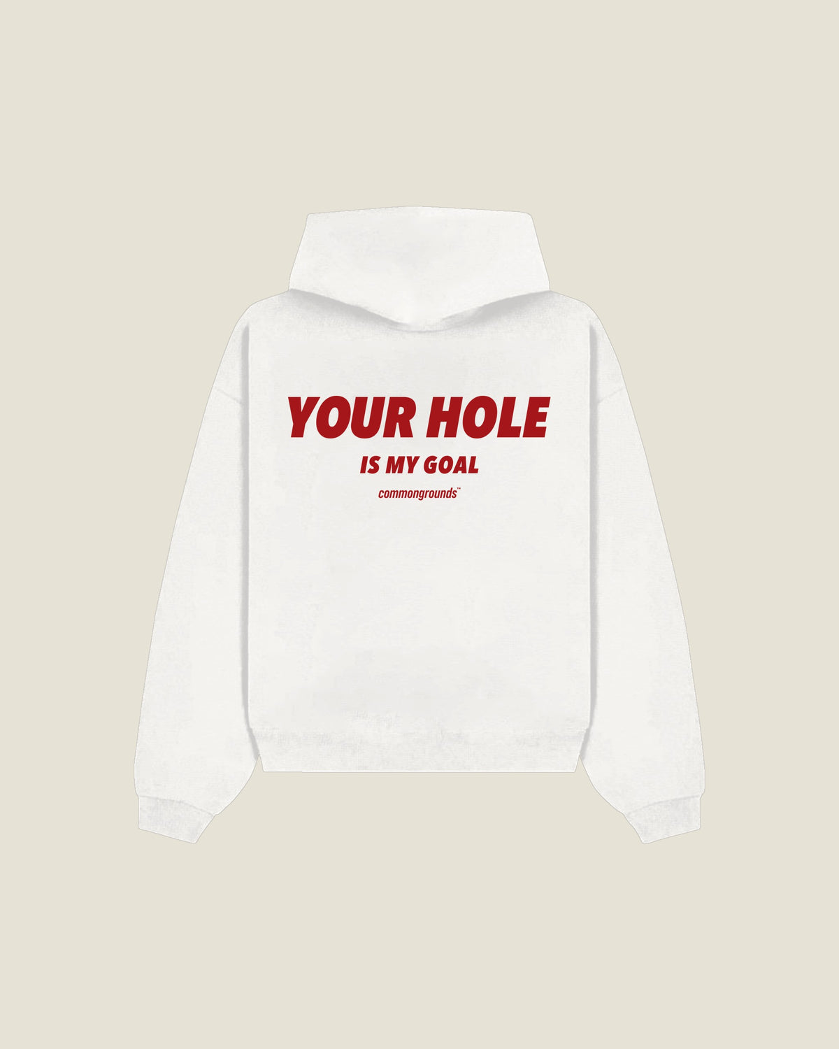 Your Hole Is My Goal Hoodie in white, back print