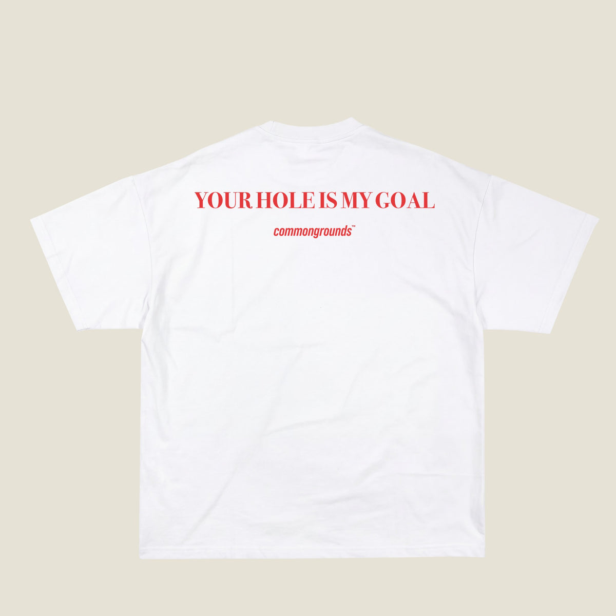 YOUR HOLE IS MY GOAL Tee in white, back print