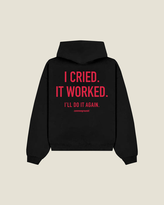 I Cried. It Worked. I'll Do It Again Hoodie