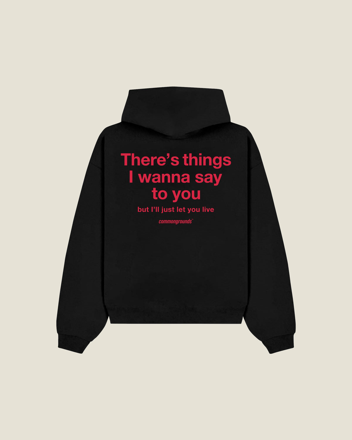 There's Things I Wanna Say To You But I'll Just Let You Live Hoodie in black, back print