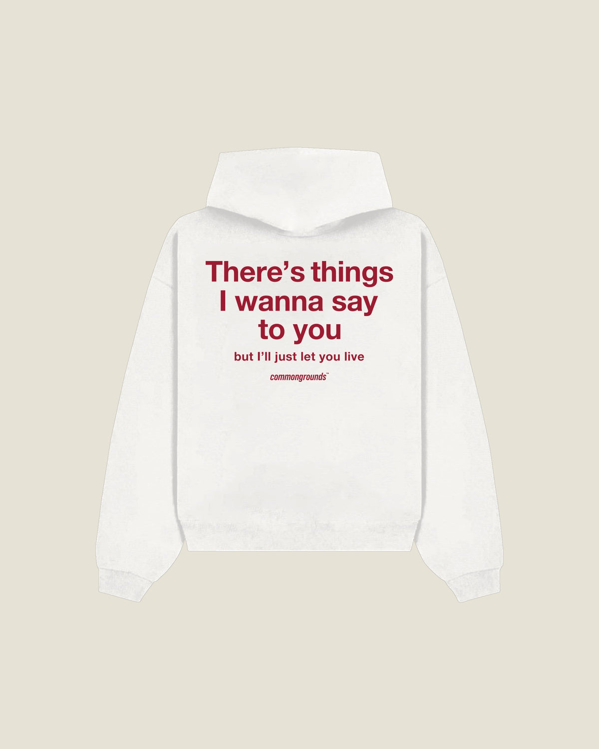 There's Things I Wanna Say To You But I'll Just Let You Live Hoodie in white, back print