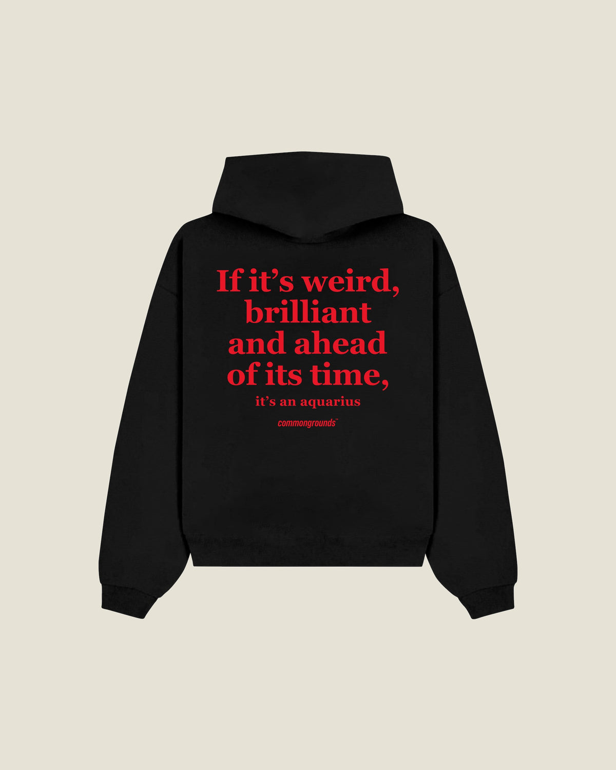 If It's Weird, Brilliant And Ahead Of Its Time, It's An Aquarius Hoodie in black, back print