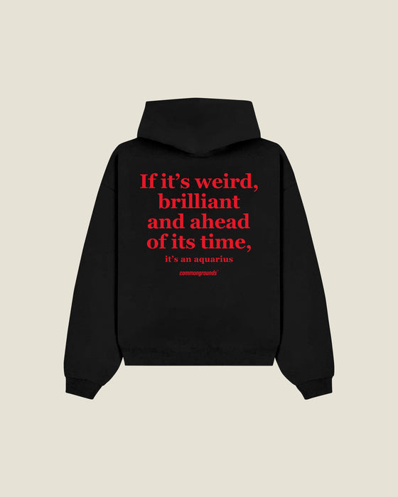 If It's Weird, Brilliant And Ahead Of Its Time, It's An Aquarius Hoodie