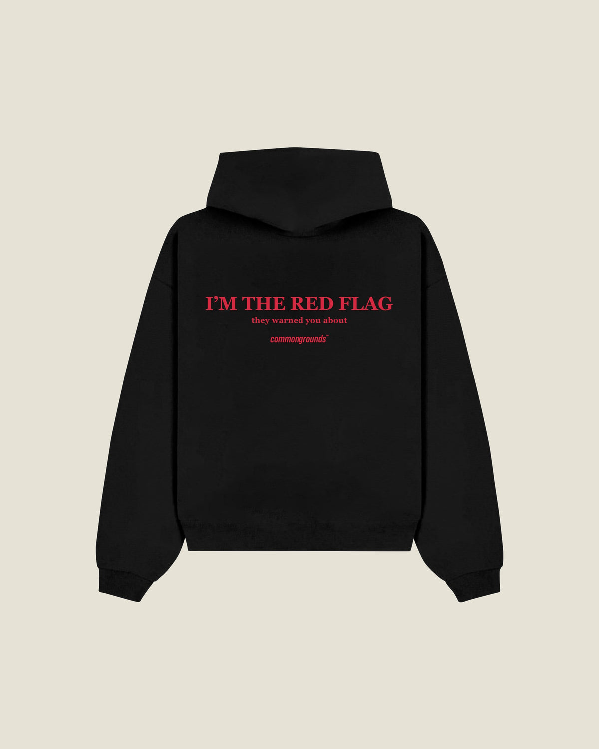 I'm The Red Flag They Warned You About Hoodie in black, back print