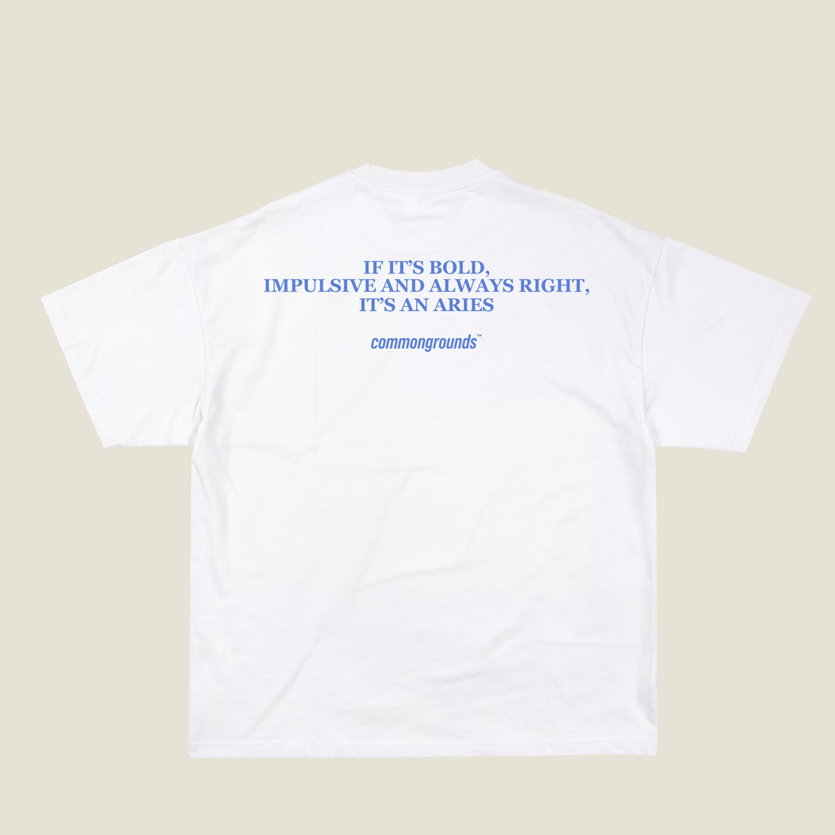 IF IT'S BOLD, IMPULSIVE AND ALWAYS RIGHT, IT'S AN ARIES Tee in white, back print