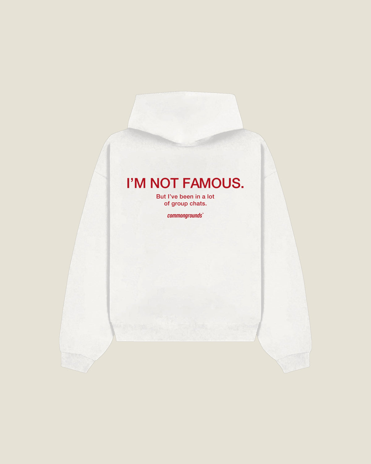 I'm Not Famous. But I've Been In A Lot Of Group Chats Hoodie in white, back print