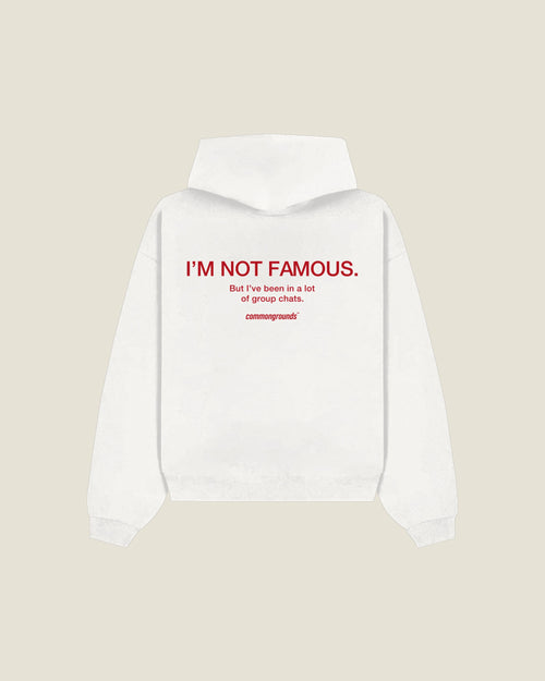 I'm Not Famous. But I've Been In A Lot Of Group Chats Hoodie in white, back print