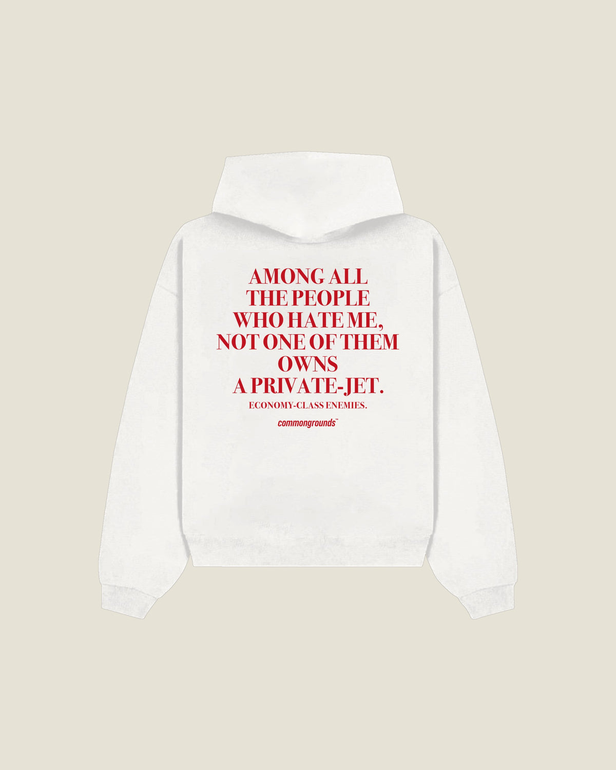 Among All The People Who Hate Me, Not One Of Them Owns A Private-jet. Economy-class Enemies Hoodie in white, back print