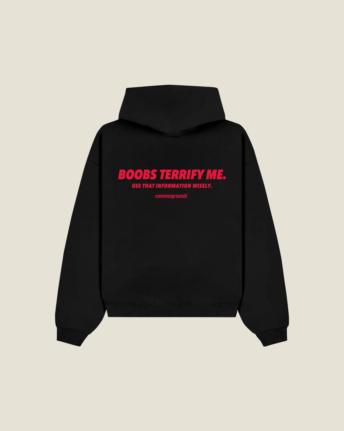 Boobs Terrify Me. Use That Information Wisely Hoodie in black, back print