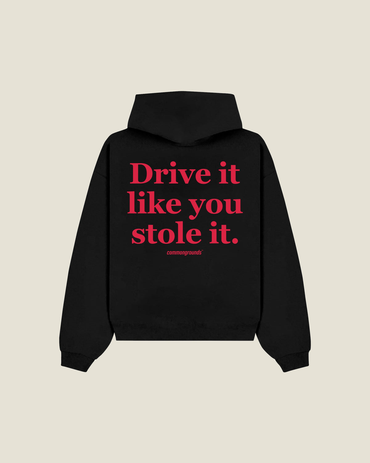 Drive It Like You Stole It Hoodie in black, back print
