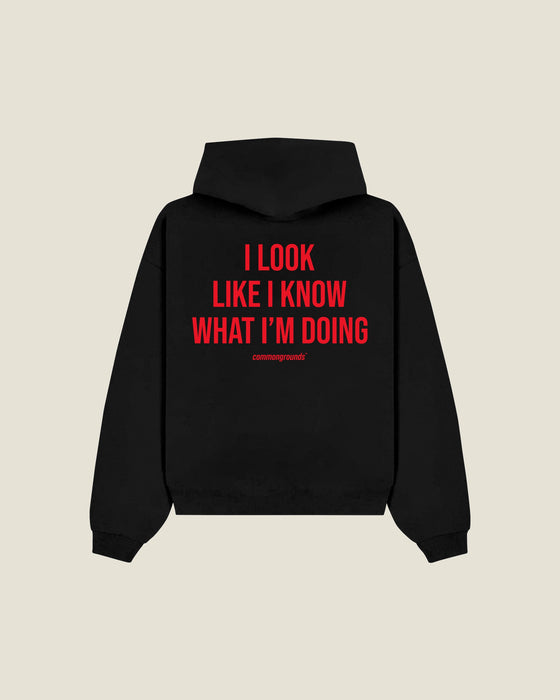 I Look Like I Know What I'm Doing Hoodie