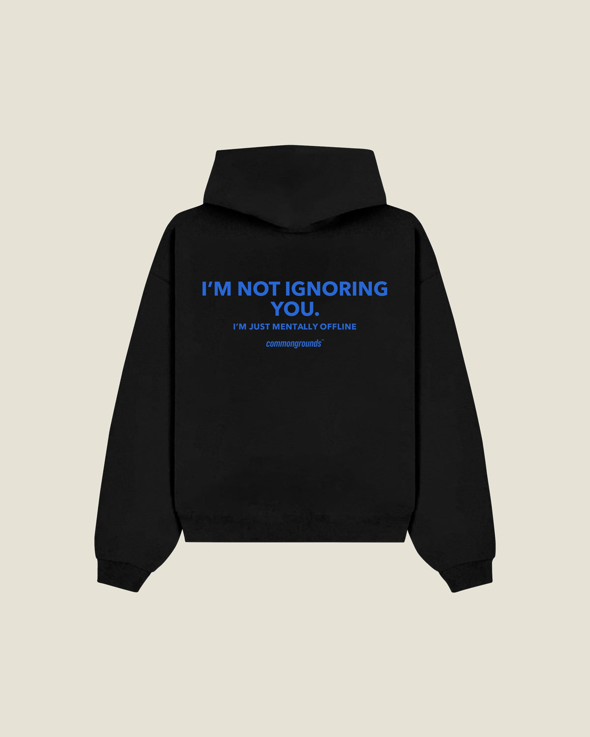 I'm Not Ignoring You. I'm Just Mentally Offline Hoodie in black, back print