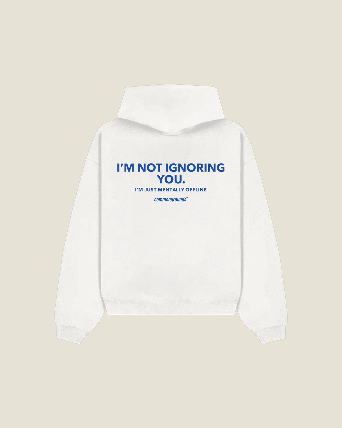 I'm Not Ignoring You. I'm Just Mentally Offline Hoodie in white, back print