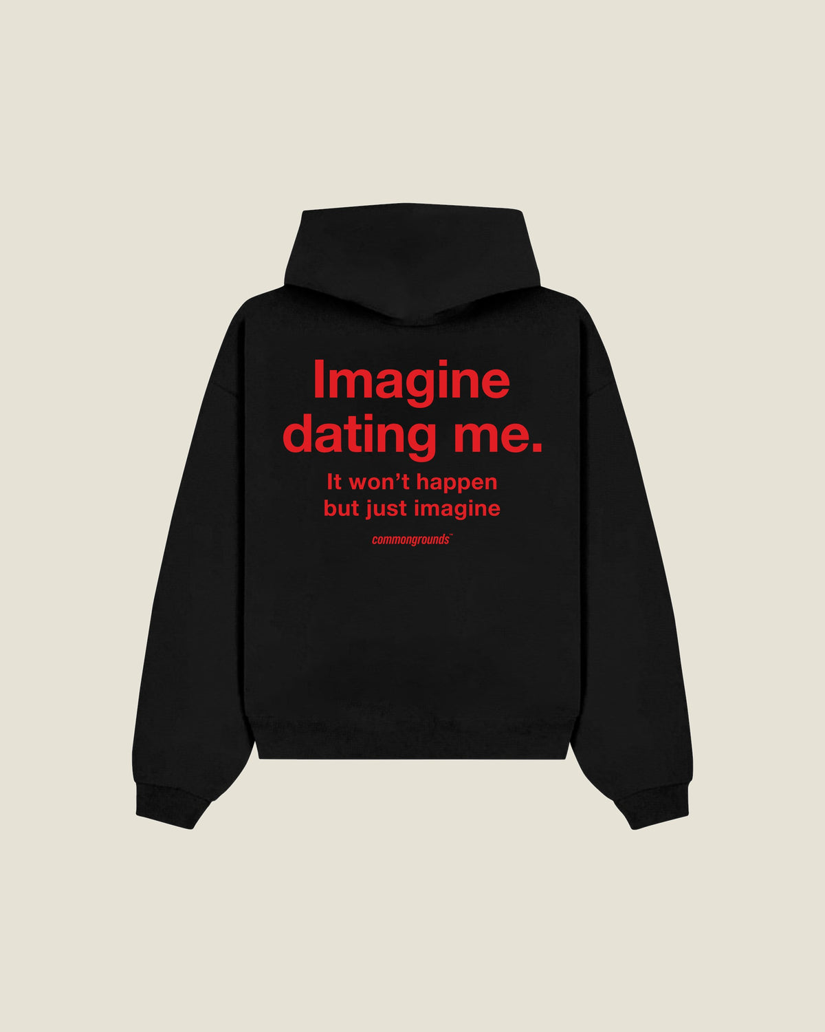 Imagine Dating Me. It Won't Happen But Just Imagine Hoodie in black, back print