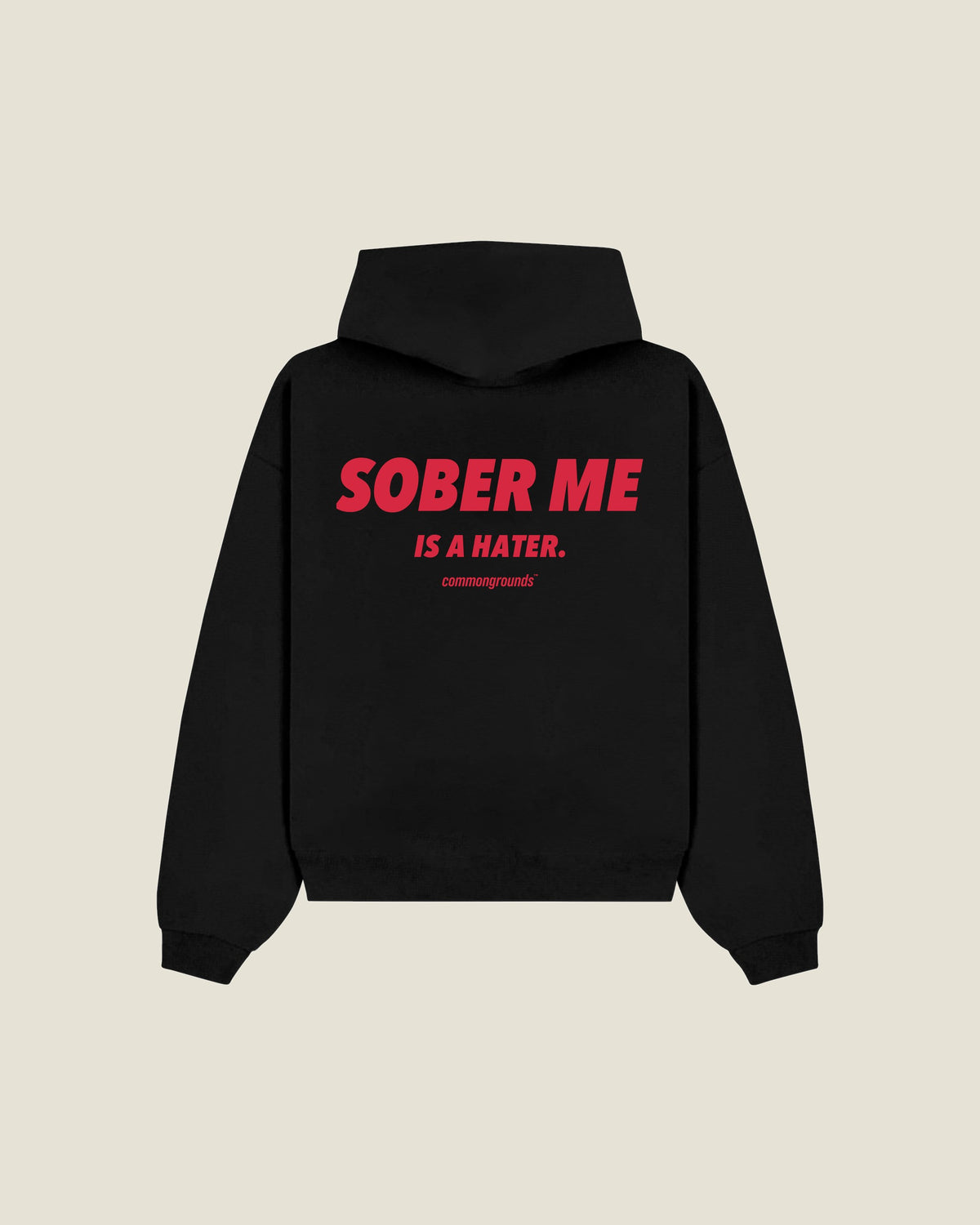 Sober Me Is A Hater Hoodie in black, back print