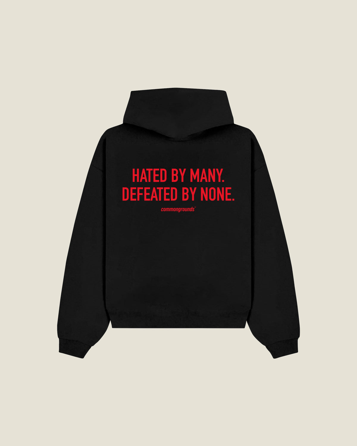 Hated By Many. Defeated By None Hoodie in black, back print