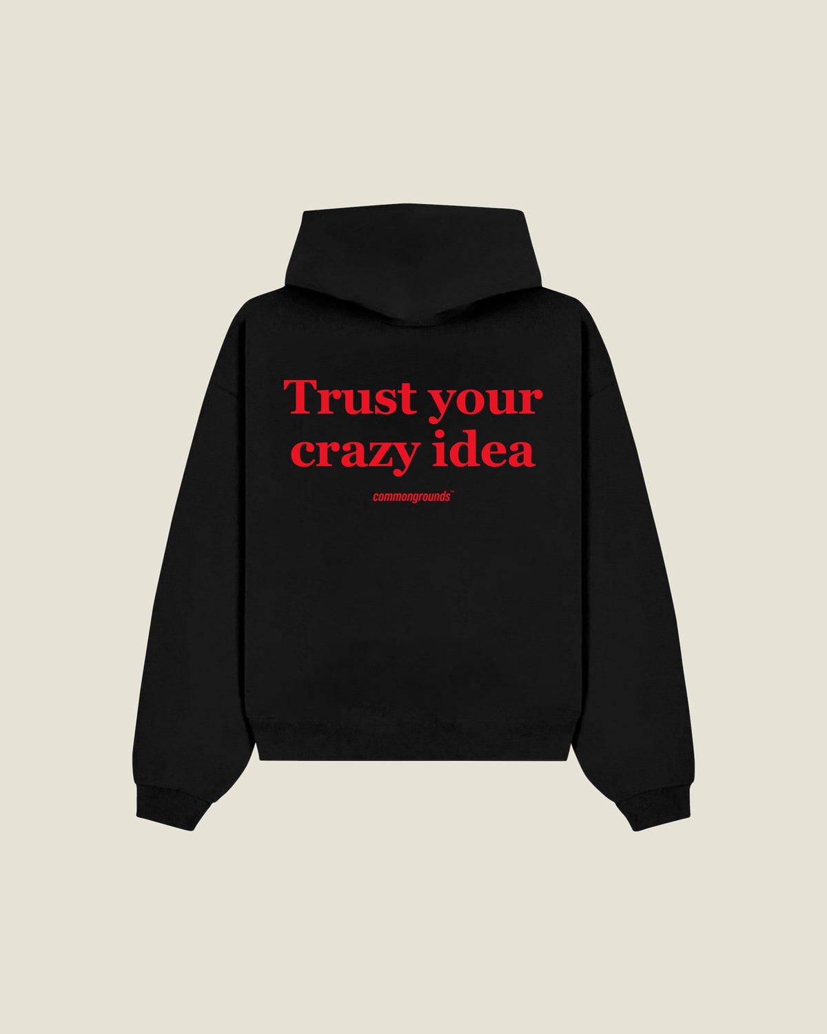 Trust Your Crazy Idea Hoodie in black, back print