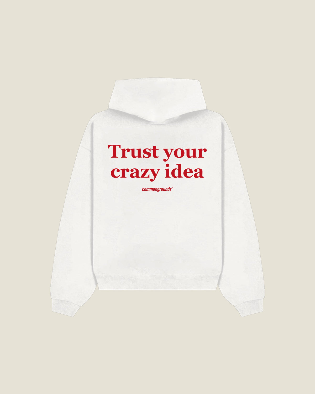 Trust Your Crazy Idea Hoodie in white, back print