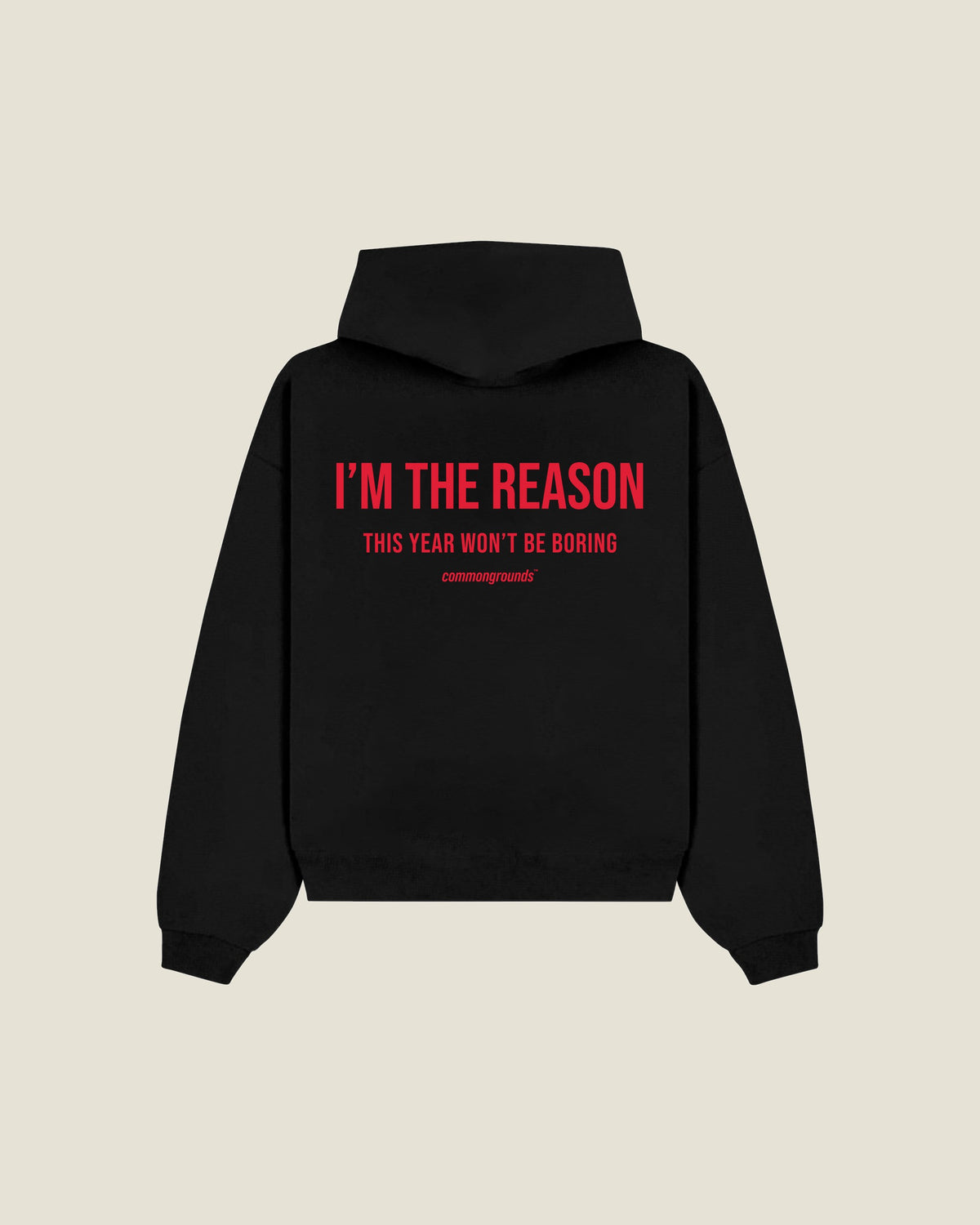 I'm The Reason This Year Won't Be Boring Hoodie in black, back print