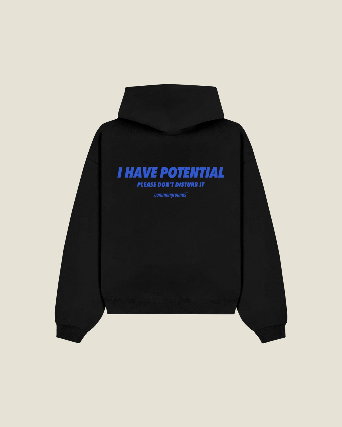 I Have Potential Please Don't Disturb It Hoodie in black, back print