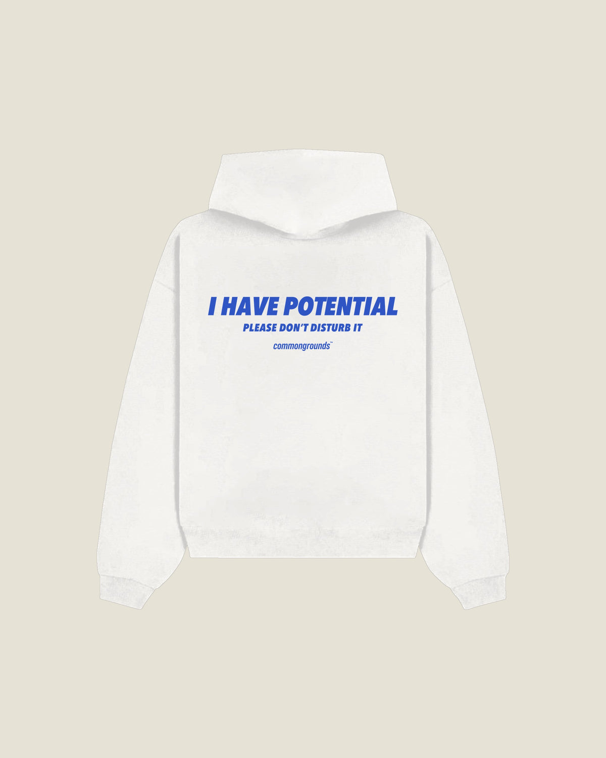 I Have Potential Please Don't Disturb It Hoodie in white, back print