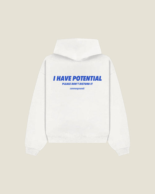 I Have Potential Please Don't Disturb It Hoodie in white, back print