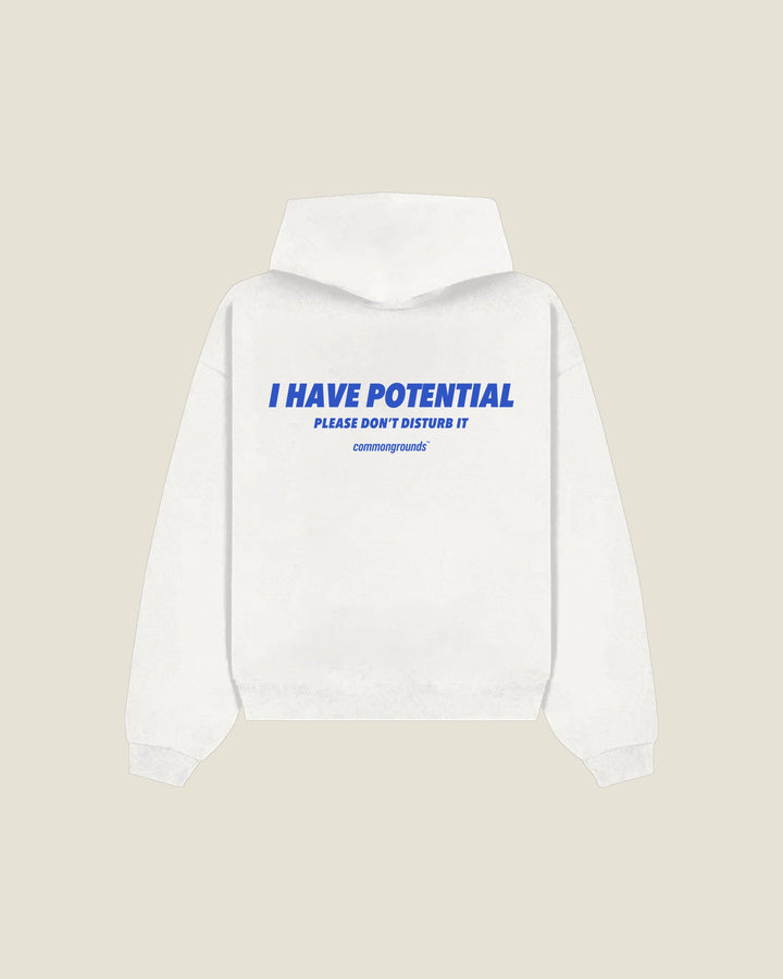 I Have Potential Please Don't Disturb It Hoodie