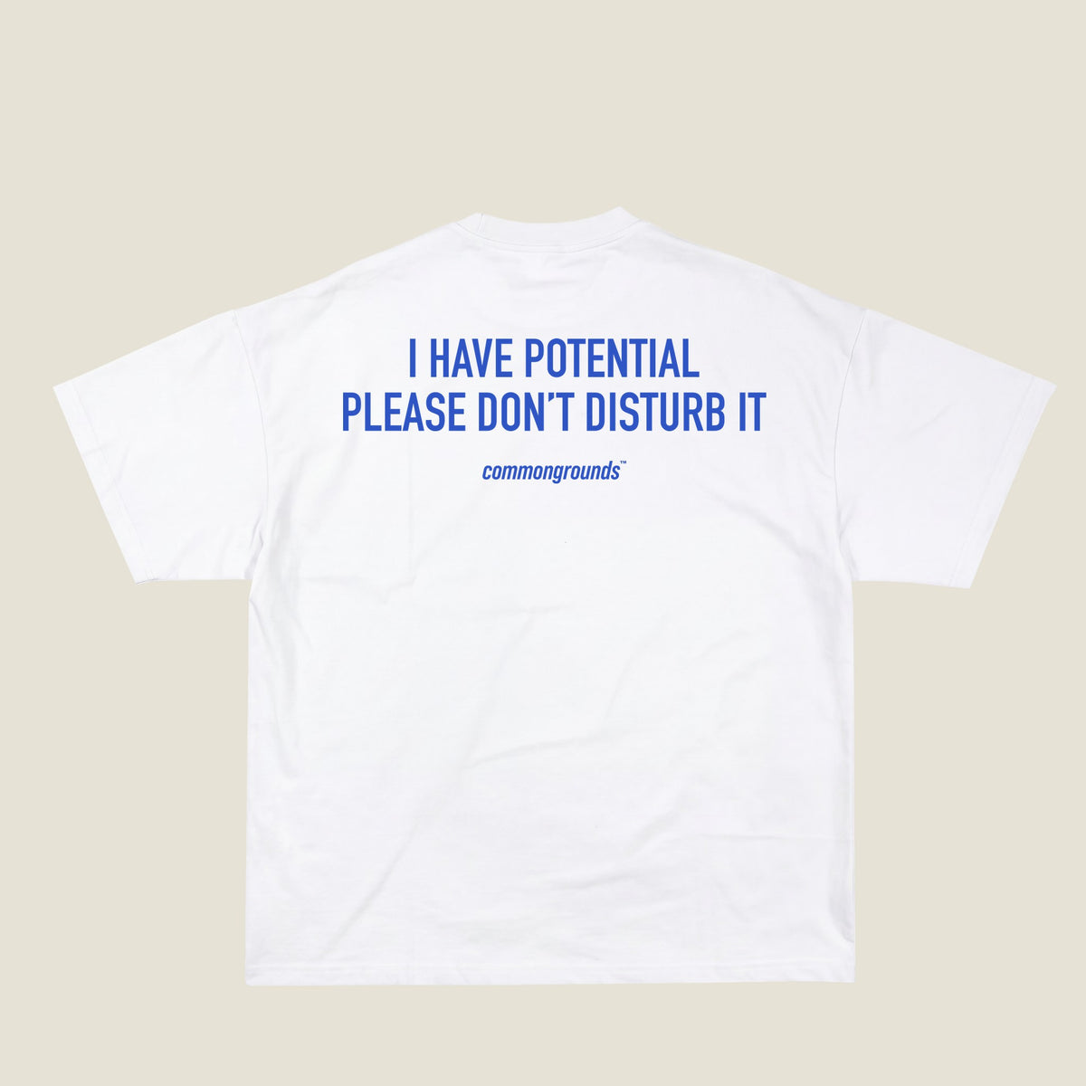 I HAVE POTENTIAL PLEASE DON'T DISTURB IT Tee in white, back print