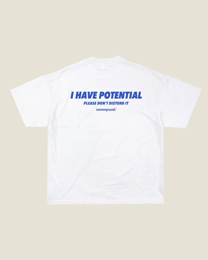 I Have Potential Please Don't Disturb It Tee