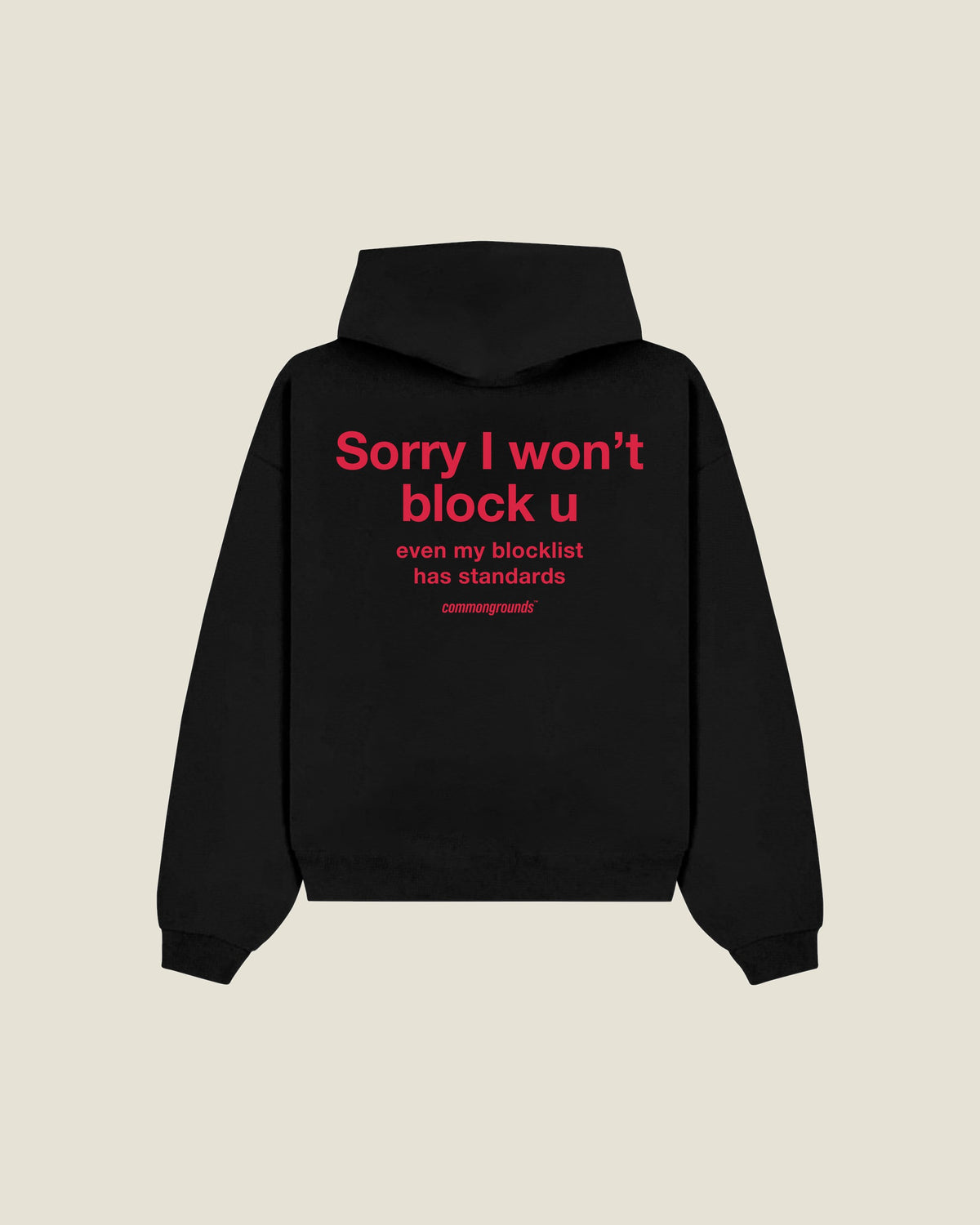 Sorry I Won't Block U Even My Blocklist Has Standards Hoodie in black, back print