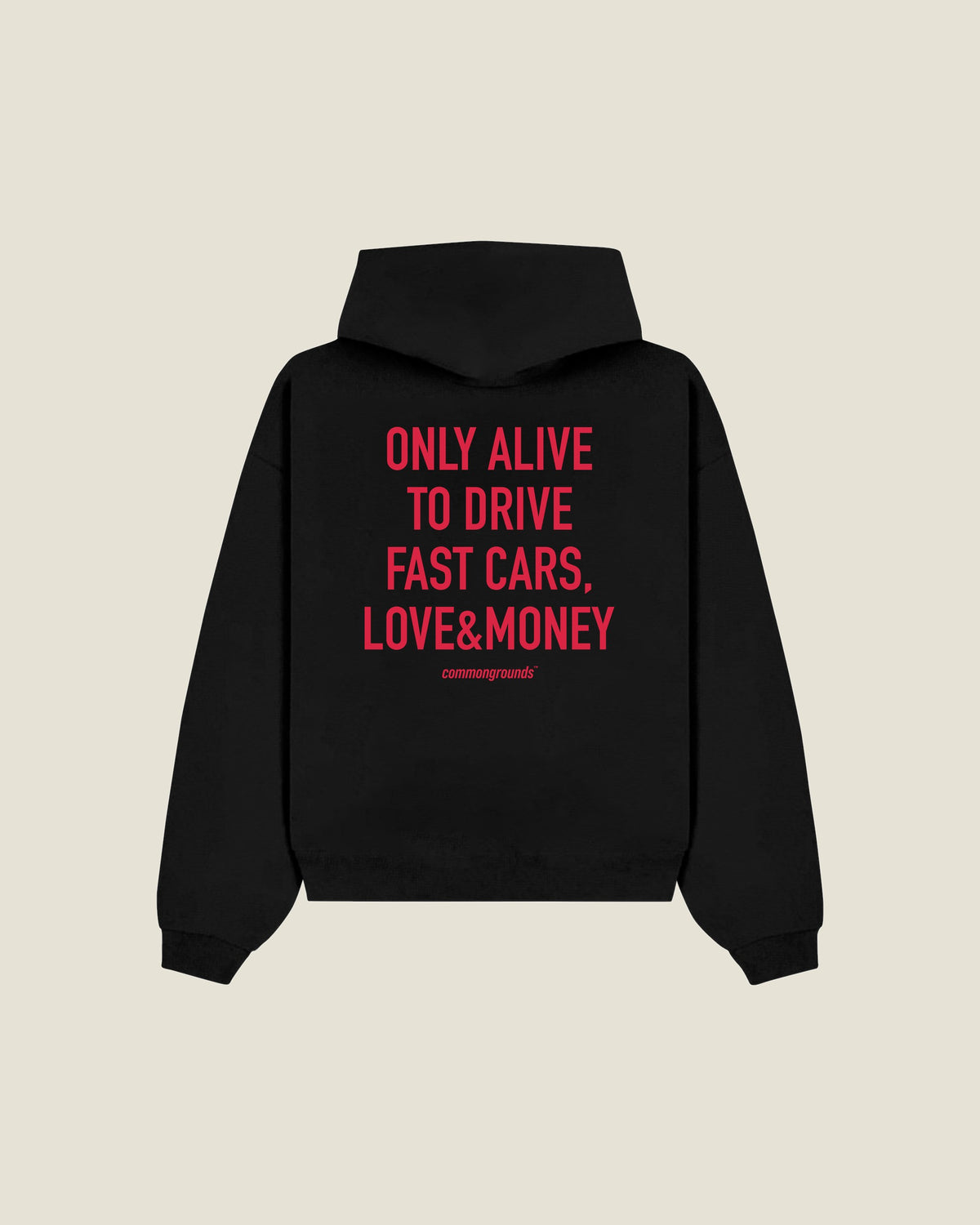 Only Alive To Drive Fast Cars, Love&money Hoodie in black, back print