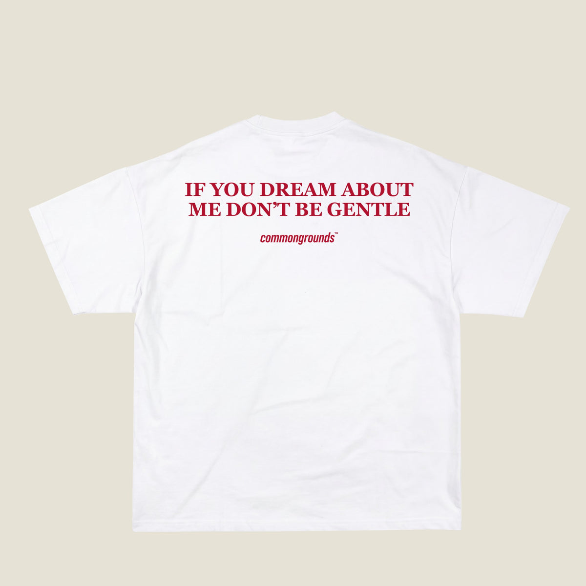 IF YOU DREAM ABOUT ME DON'T BE GENTLE Tee in white, back print